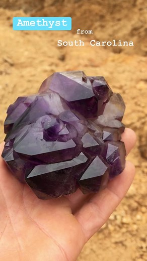 Superb dark amethyst crystal from private location in South Carolina called the Ellis mine. Some of the best most dark amethyst in the country has came from this site, but the pocket system is very small and possibly completely gone now. I was able to take this location for several years before we called it quits. May go back soon for one more chance but it’s doubtful we will find anything.. | The Crystal Collector