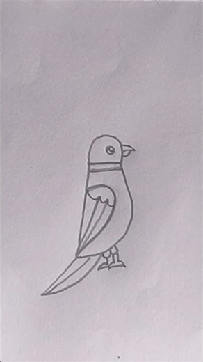 How to draw a bird🦜#artinstruction #drawingtutorial #art
