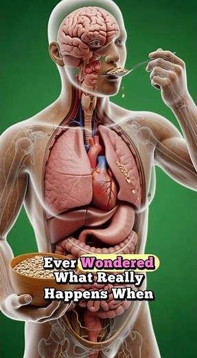 What Breakfast Cereals Do to Your Body | 3D Digestive Animation #shorts #trending