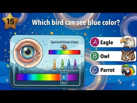 Top Multiple choice questions and answers 👌 #live @#gklive