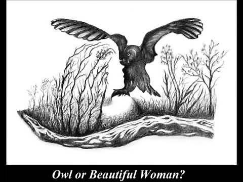 Ambiguous Illusions. WHAT DO YOU SEE?