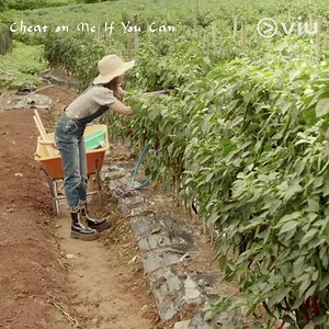 Crime novelist Kang Yeo Joo (Cho Yeo Jeong) is constantly pondering about ways to murder a person for her stories. Her husband (Go Joon), is a divorce lawyer who has sworn that if he cheats on her, he'll die. Watch comedy mystery drama 𝘾𝙝𝙚𝙖𝙩 𝙊𝙣 𝙈𝙚 𝙄𝙛 𝙔𝙤𝙪 𝘾𝙖𝙣 FREE on Viu now! | Viu Singapore