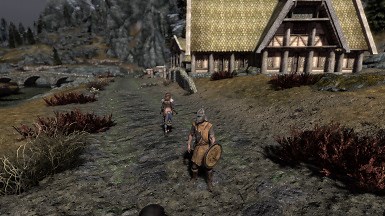 SKYRIM PERFORMANCE BOOSTER