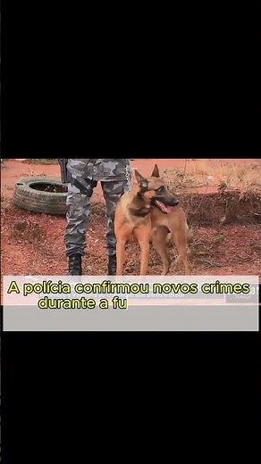 Caso Lázaro Barbosa: A Caçada Policial que Parou o Brasil