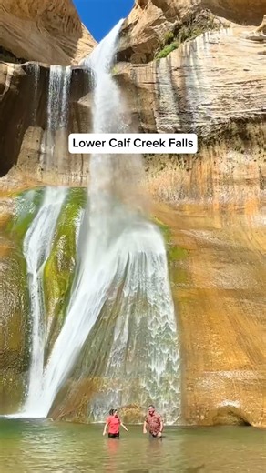 1.3K views · 54 reactions | Save this list for your next Utah trip! ✅  Lower Calf Creek Falls  Buckskin Gulch Slot Canyon  Dead Horse Point State Park  Snow Canyon State Park  Bears Ears National Monument  Eagle Crags Trail  Willis Creek Slow Canyon  Canyoneering at Powells Way in East Zion  Coral Pink Sand Dunes  Homestead Crater | Visit Utah | Facebook