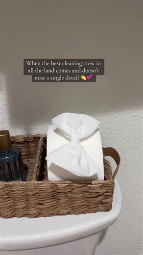 Val's Helping Hand: The Best Cleaning Crew Experience