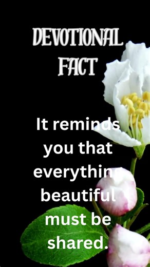 16-Divine meaning behind offering flowers to God. #shorts #ytshorts #omsriflowers