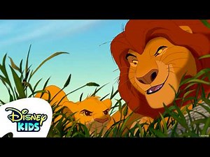 Wisdom From Pride Rock 🦁 👑 | The Lion King | ‪@disneykids‬