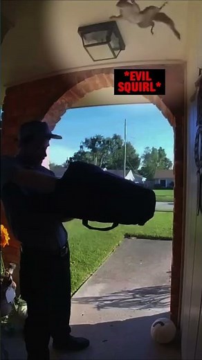 Ring Doorbell Footage of Pizza Delivery Gone Wrong...