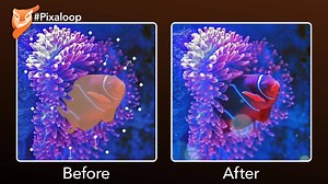 Dive into the deep with Enlight Pixaloop to create this magical underwater world! 🐠 Tap Path to add movement to the coral ➡️ Add Anchor points to the border of the coral to keep the water still ➡️ Add Overlay ES11 and you’re done! ✌️ For more tips head over to our Insta: bit.ly/pixaloopinsta | Motionleap by Lightricks