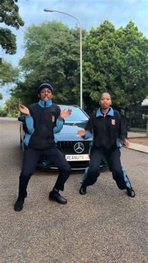 Amapiano Groovist Goes Viral! Fast Fast Dance Challenge 2026 🔥