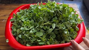 117K views · 1.5K reactions | Tips & Tricks अब घंटों का काम मिनटों में होगा, समय और धन दोनों की बचत करेंगे | Rita Arora Recipes | Facebook