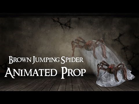 Brown Jumping Spider Animated Prop | Spirit Halloween