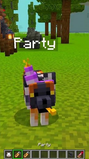 Actions & Stuff Name Tag Tricks (Wolves) #shorts #minecraft