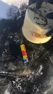 Cracker Vs My bucket #crackers #fireworks #fireworkshow #fireworkshow #fireworksdisplay usareels usa usa_tiktok experiment firecrackers | Fireworks Videos