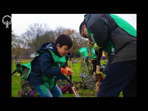 Planting young trees (whips)