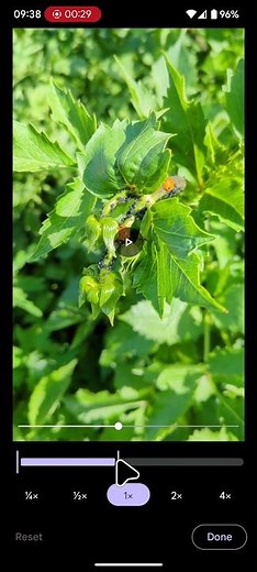 Adjust Video Playback Speed on Android with Google Photos