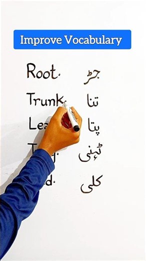 Tree Parts Vocabulary in English | Root Trunk Leaf Twig Bud Meaning