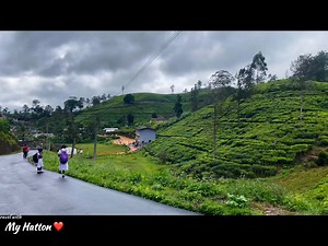 Happy Friday! 🎉✨ Wishing you a wonderful end to the week—may your Friday be filled with good vibes, smiles, and a little bit of extra joy to kick off the weekend. 🌟🌿 My Hatton | My Hatton