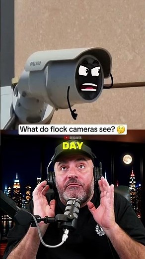 What do Flock Cameras really see?