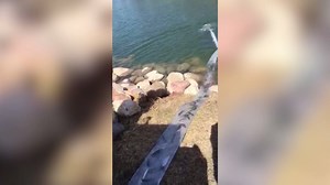 13K views · 287 reactions | We've stocked more lakes! Check out the...