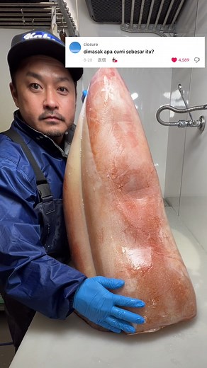 ソデイカの寿司🦑 | Rhomboid Squid Sushi - イカ 捌く, イカの寿司, イカの刺身