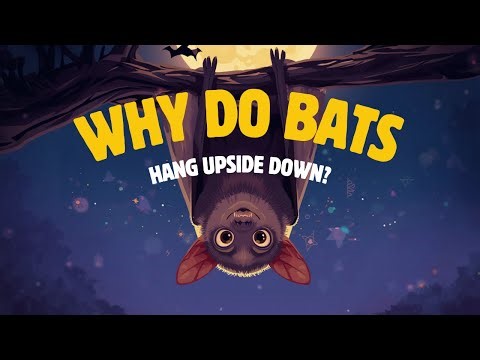 Why Bats Sleep Upside Down — And Why They Have To?
