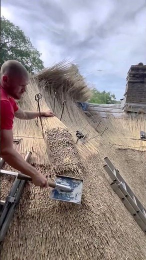 Reed Roof Thatching by a Craftsman’s Hands: The Fixing and Smoothing Process