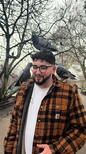 Bird Flu Adventures in London