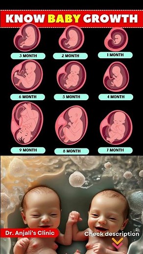 How Your Baby Grows Month by Month | Fetal Development