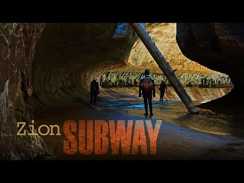 ZION Subway will Blow your MIND | Top Down Route | Left Fork Canyoneering in Zion National Park