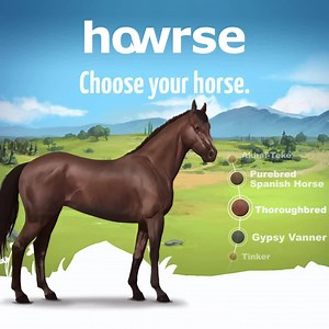 60 reactions · 21 shares | Do you miss horses? Join a community that's as passionate as you are!  | Howrse | Facebook