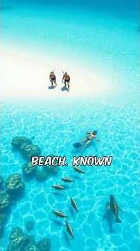 Discover Antigua’s 7 Best Beaches