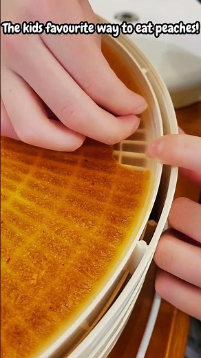 Peach fruit leather