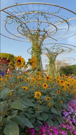 Looks Like It’s Not From This World | Dubai Miracle Garden 4K HDR #shorts