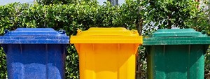 Bin cleaning tips to keep bugs and smells at bay