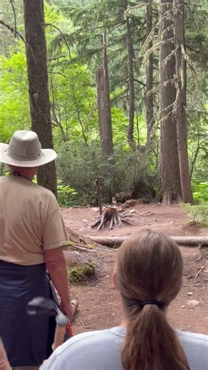 Hikers Calmly Let Grizzly Pass on Glacier Park Trail