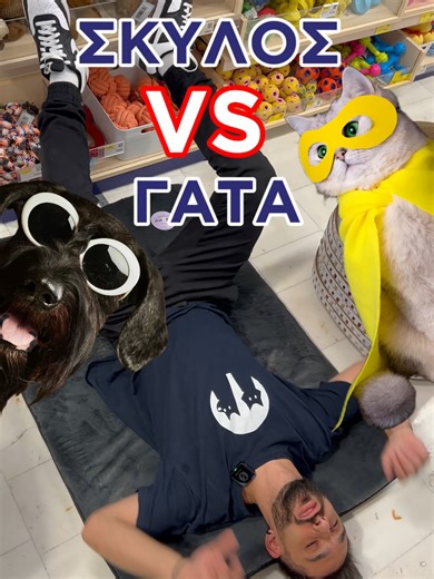 🐶 Σκύλοι vs Γάτες 🐱 #σκυλος #γατα #κατοικιδιο #petstore #greekcomedy #greektiktok #animalgr #petshop #ελλαδα #athens #φυππ