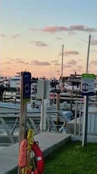 Maurice Gibb Memorial Park ❤️❤️❤️ #earthplaces #beautifulworld #earthparadise #viralvideo #vacation