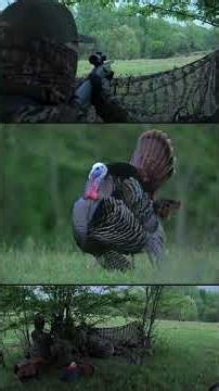 He's coming in on a string!