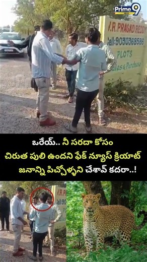 నీ సరదా కోసం చిరుత పులి ఉందని ఫేక్ న్యూస్ క్రియాట్ జనాన్ని పిచ్చోళ్ళని చేశావ్ కదరా..! | Viral Video