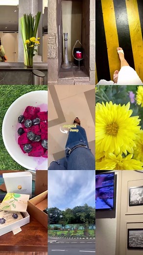 𝙠𝙧𝙪𝙥𝙖𝙡𝙞 on Instagram: "❤️‍🔥 save this 𝒂𝒖𝒈 𝒅𝒖𝒎𝒑 to recreate! ❤️‍🔥 . . . . . #ａｅｓｔｈｅｔｉｃ #flower #sunset #rain #drive #gift #rakhi #rakshabandhan #august #rainyweather #life #love #shopping #reelsinstagram #reelitfeelit #reelkarofeelkaro #viralvideos #viral #trendy #rap #happy #skyline #design #muybridge #filter #augustdump #mumbai #mumbaifoodie #mumbaikar #mumbaidiaries"