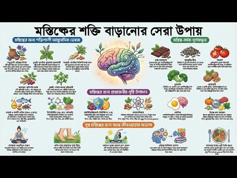 মস্তিষ্কের শক্তি বাড়ানোর সেরা উপায় | Omega-3, ডিমের কুসুম, প্রাণায়াম ও ব্রেইন কেমিস্ট্রি