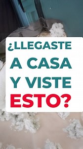 77K views · 118 reactions | *ÚNICO SNACK PENSADO PARA EDUCAR A TU...