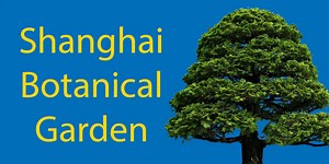 Shanghai Botanical Garden 🌳 | Prices, Opening Times & More