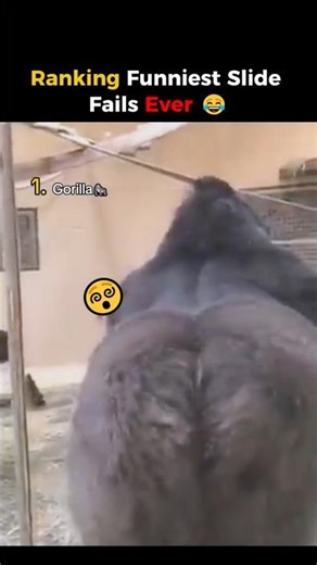 Ranking Funniest Slide Fails Ever 😂