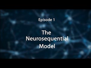 The Neurosequential Model | Stress, Trauma and the Brain: Insights for Educators
