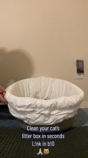 Quick and Easy Cat Litter Box Cleaning Hack