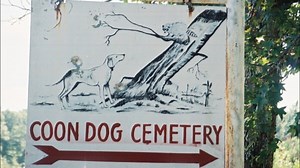 Coon dog legacy thrives at annual Labor Day celebration in Cherokee