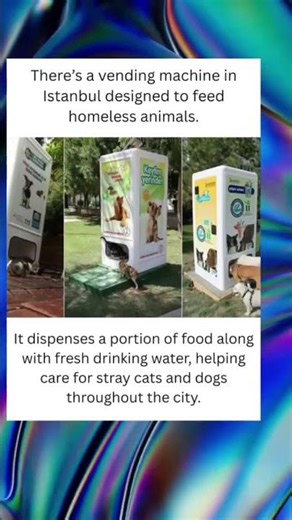 This Vending Machine Feeds Homeless Animals 🐾